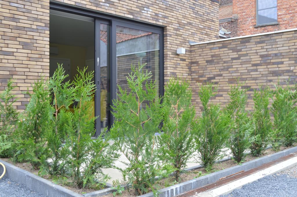 Bed & Zorg Ypres Apartamento Exterior foto